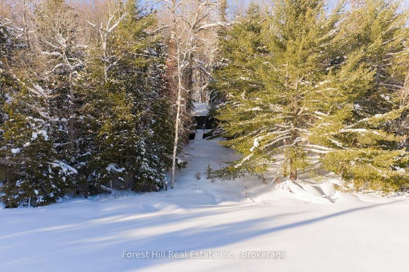 1107 Crane Lake Rd, Algonquin Highlands, P0A 1E0 | Image 2