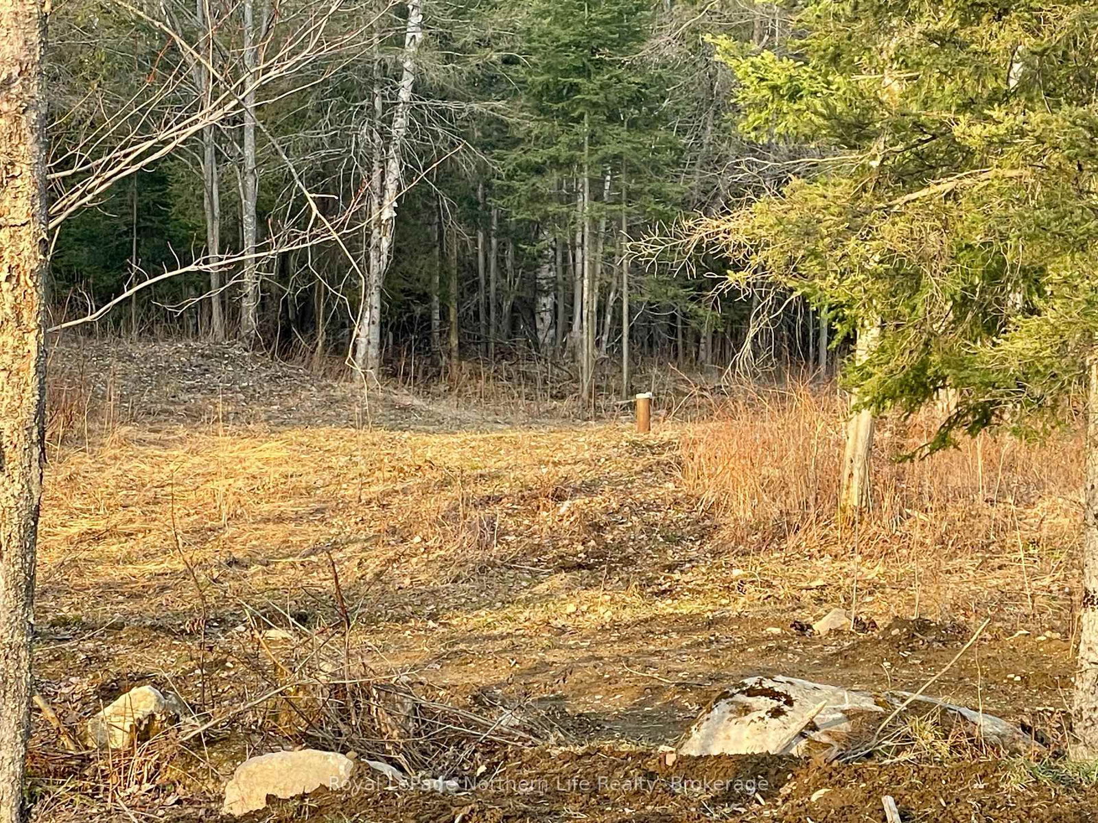 Vacant Land for sale at Lot 5 Eric Street, Bonfield, Ontario, P0H 1E0 - Bonfield - MLS: X12758832