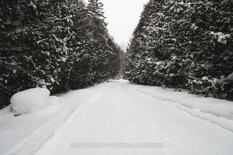 251 MILL Rd, Chatsworth, N0H 1R0 | Image 3