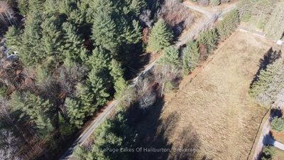 1036 PRIVET Drive • Minden Hills, ON photo 9