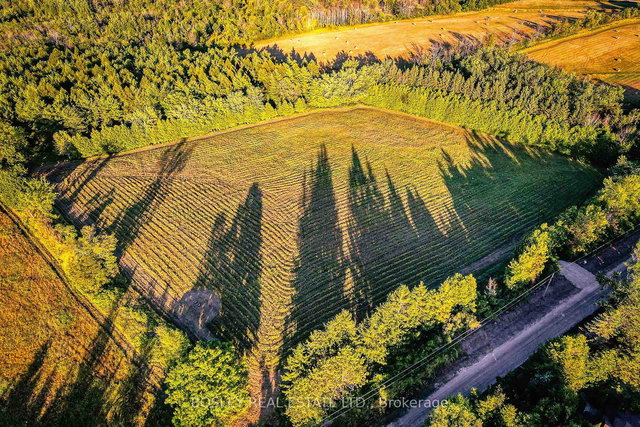 41 Silver Heights Drive