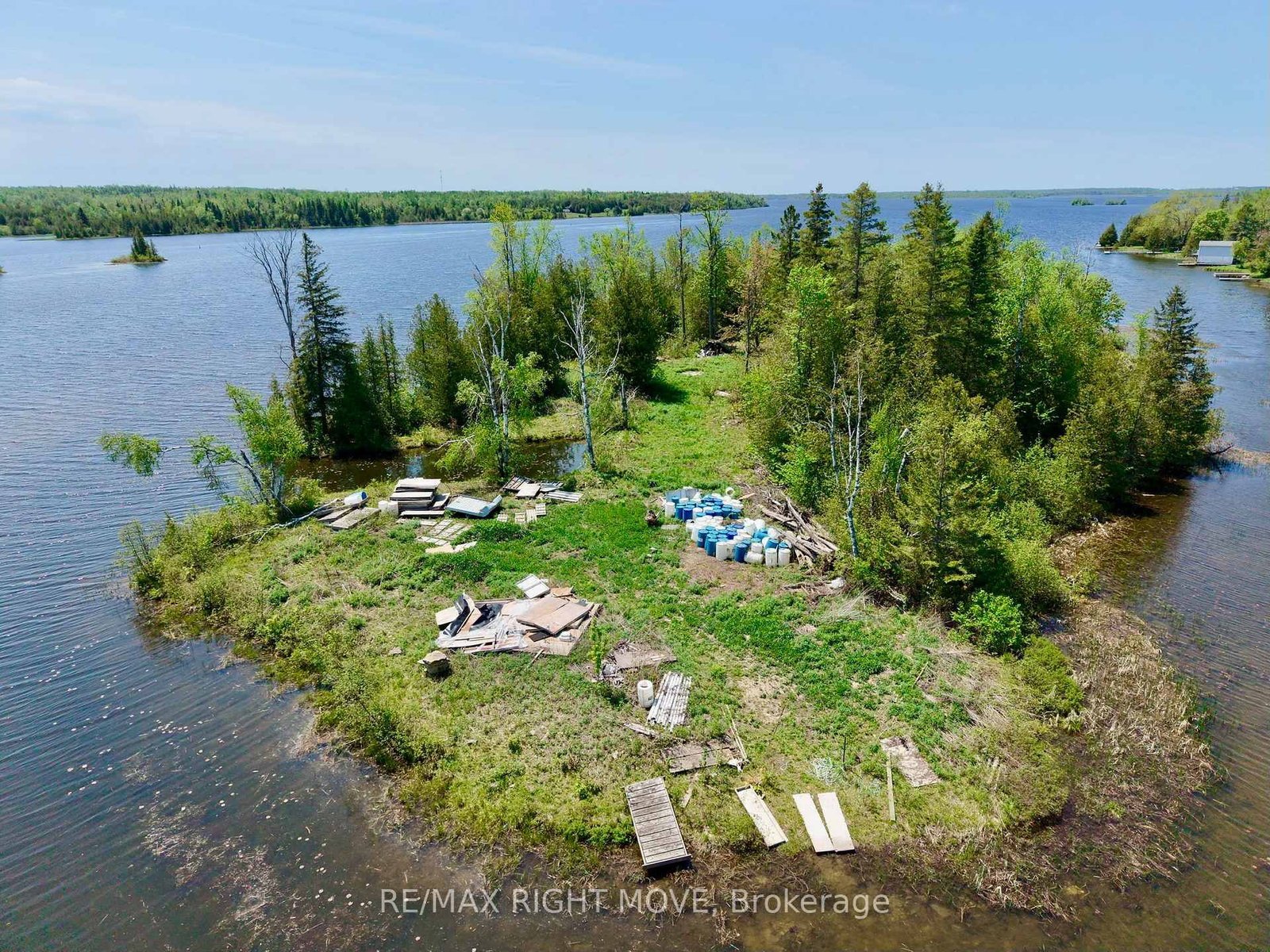 0 Mcguire Beach Road • Kawartha Lakes, ON photo 4