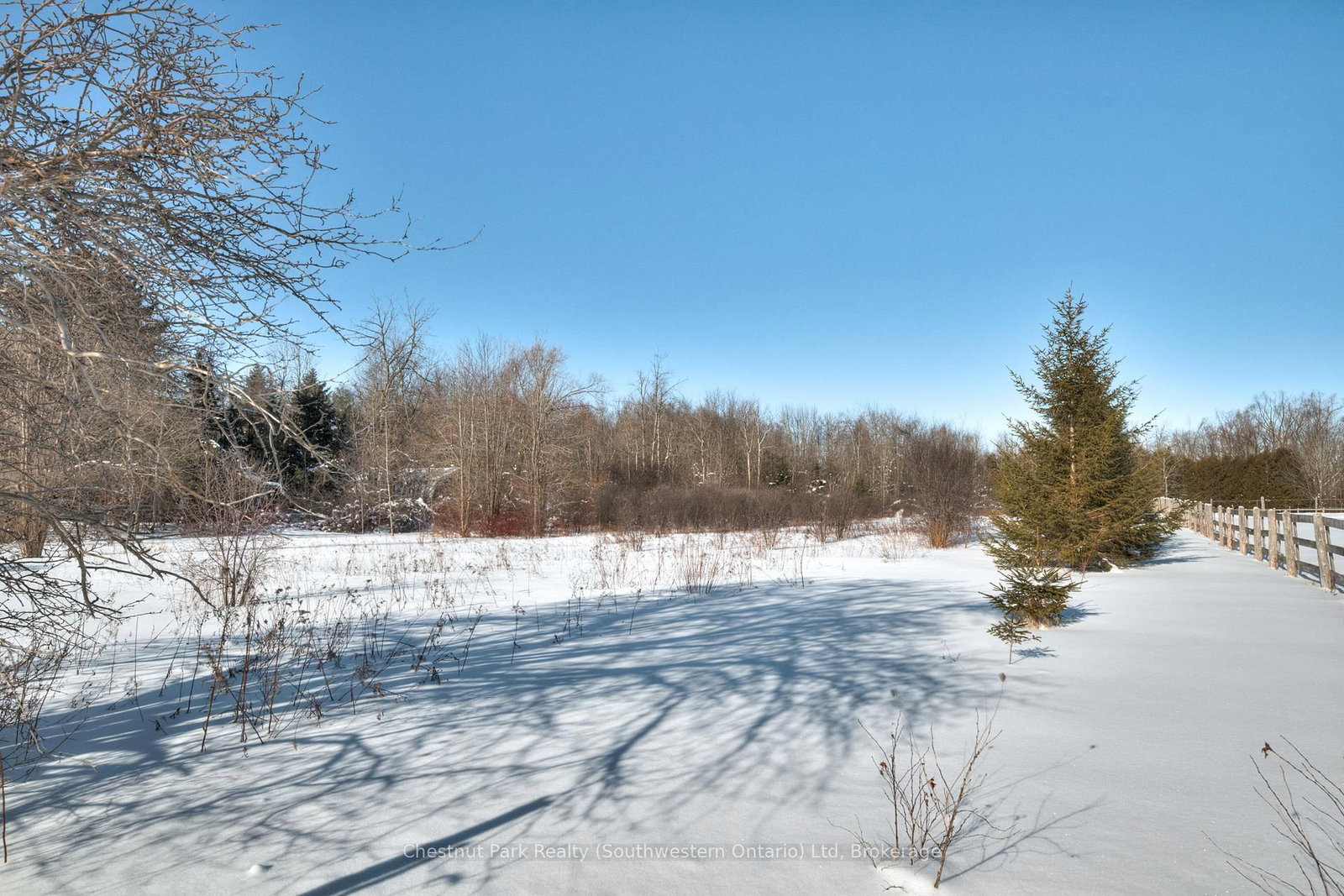 Listing Image 16