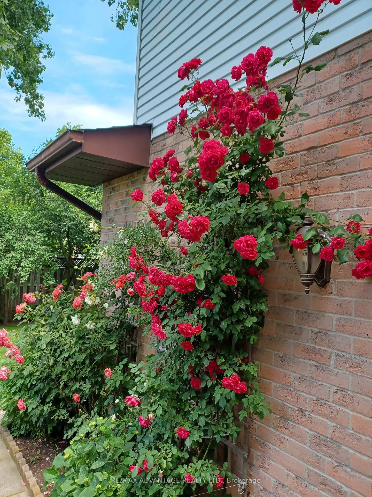 Detached House for sale at 122 Barrydale Crescent, London North, Ontario, N6G 2X6 - North I - MLS: X12764872