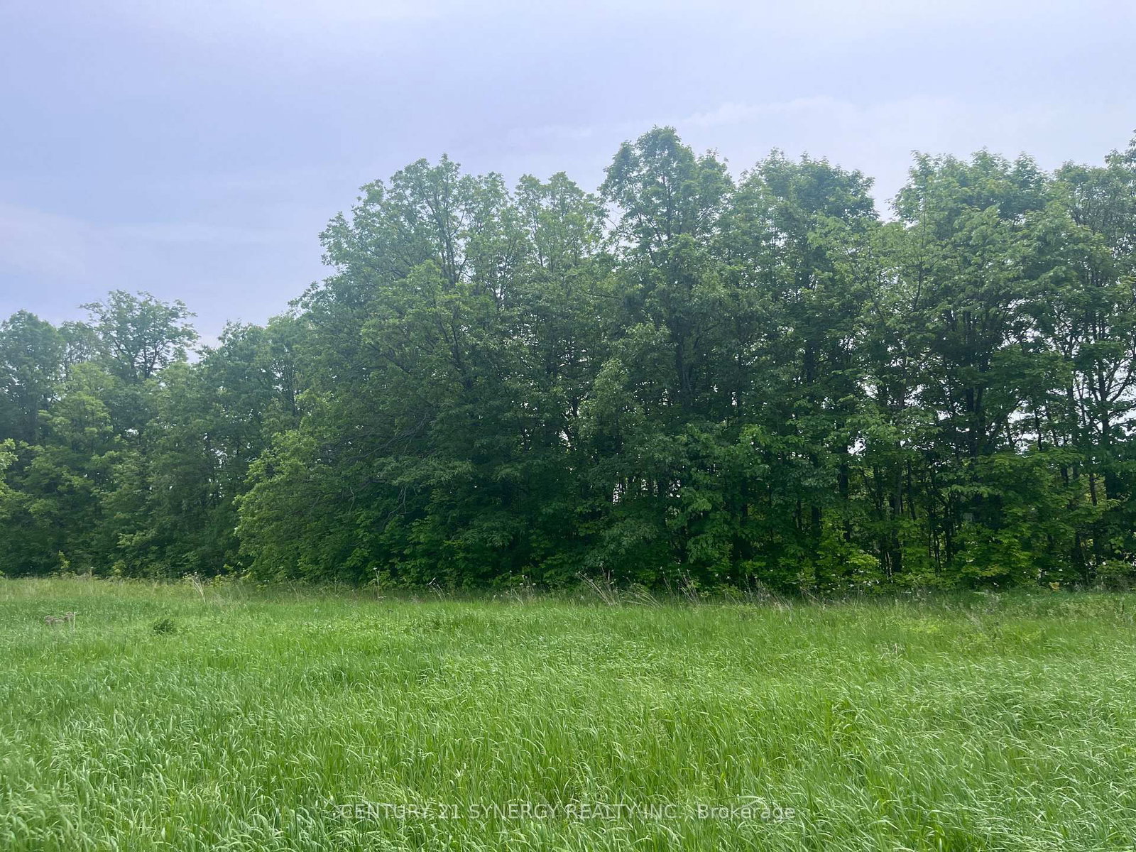 36 Paul A Bertrand Drive • Arnprior, ON photo 11