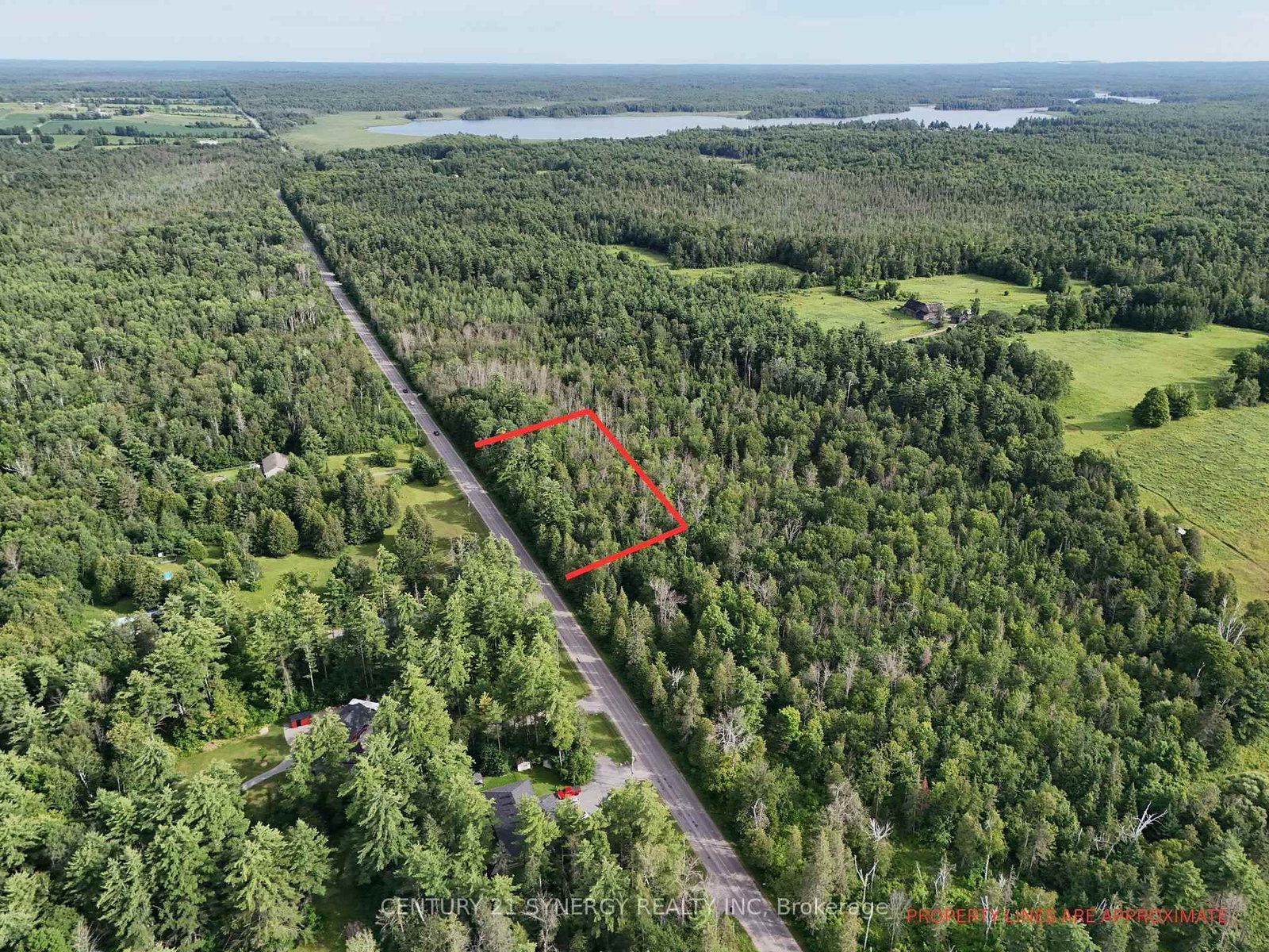 00 Bellamy Road • White Lake, ON photo 16