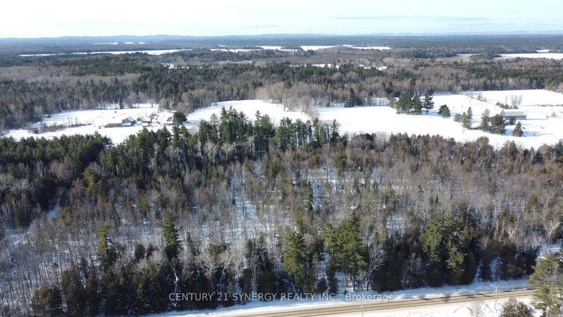 00 Bellamy Rd, White Lake, K0A 3L0 | Image 3