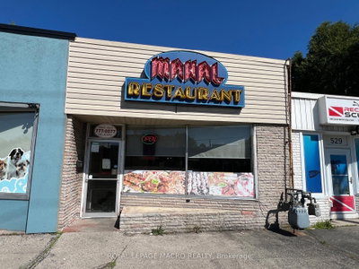 Sale Of Business for sale at 527 Upper Sherman Avenue, Hamilton, Ontario, L8V 3L9 - Raleigh - MLS: X12766326