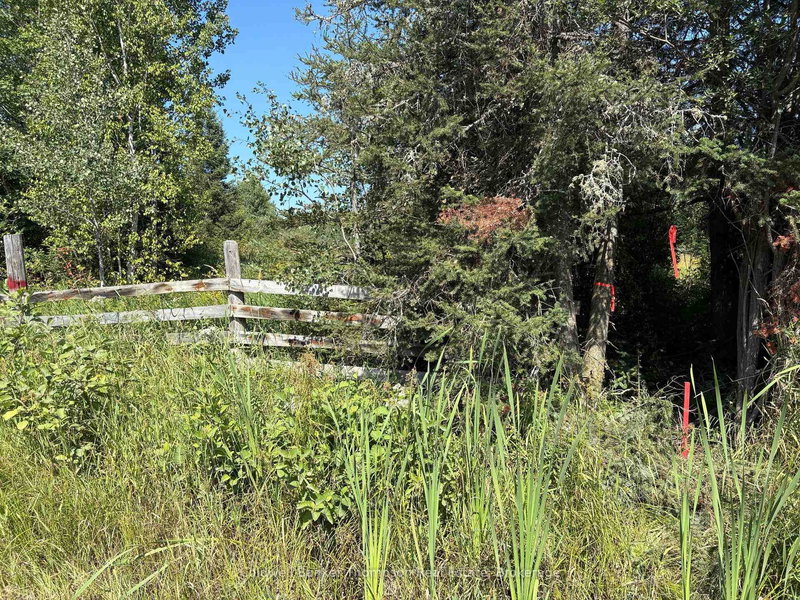 0 Cottrell Rd, Strong, P0A 1Z0 | Image 2