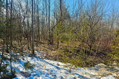 180 Bowles Bluff Road — photo 3