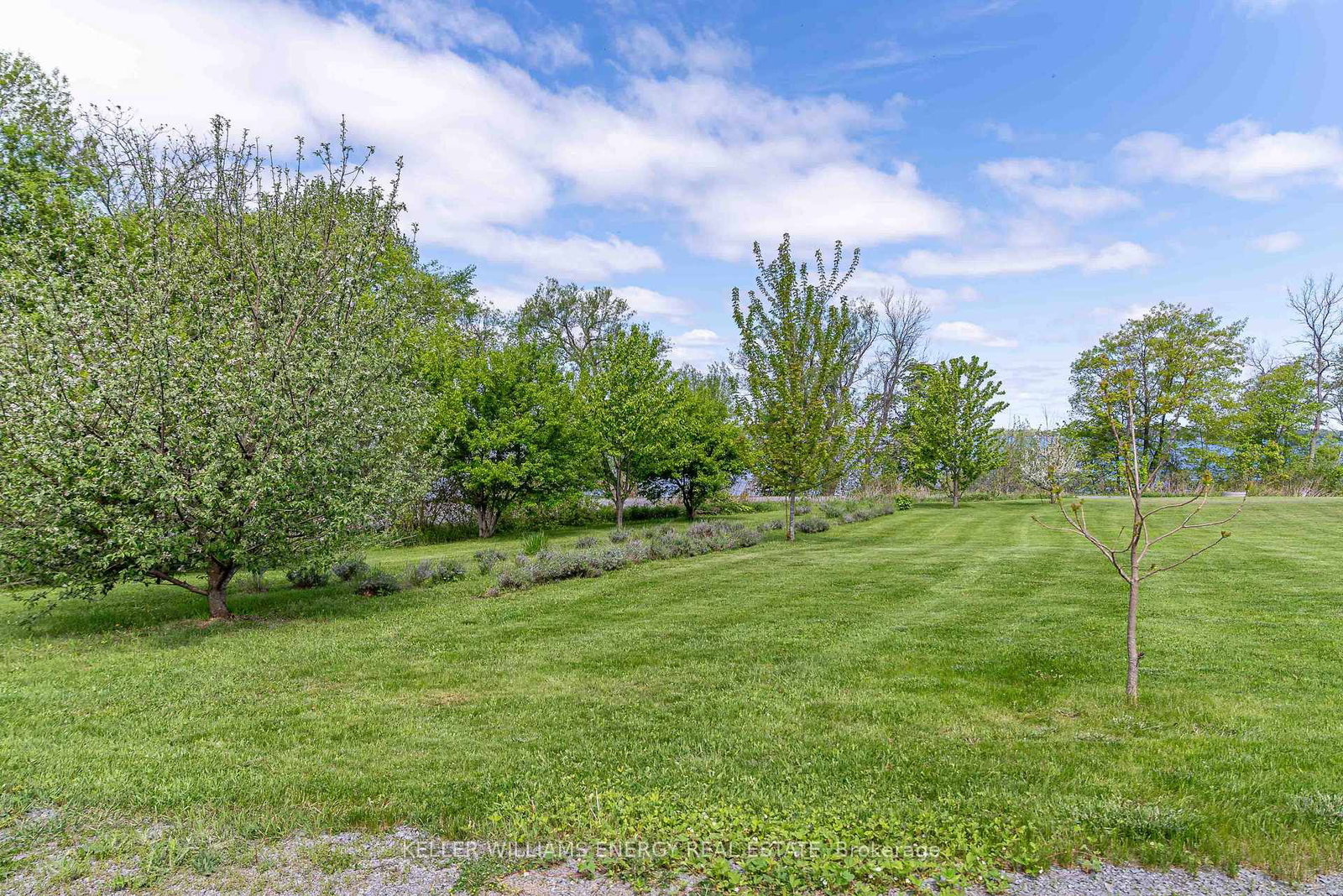 326 Cressy Bayside Road • Prince Edward County, ON photo 42