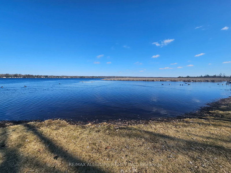 1 Beatrice Dr, Kawartha Lakes, K0M 1N0 | Image 3
