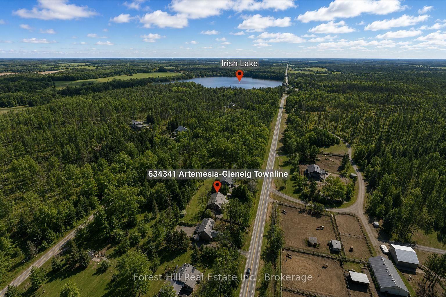 634341 Artemesia Glenelg Townline • Grey Highlands, ON photo 4