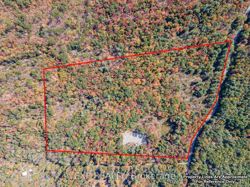 3124 Southwood Rd, Gravenhurst, P0E 1G0 | Image 2