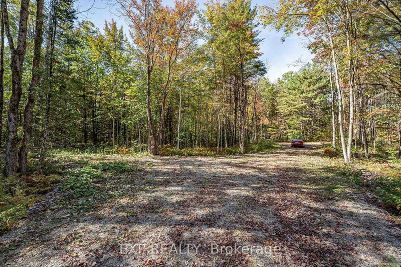 3124 Southwood Rd, Gravenhurst, P0E 1G0 | Image 3
