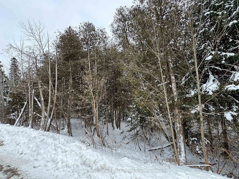 30725 Hockley Rd, Mono, L9W 6N7 | Image 3