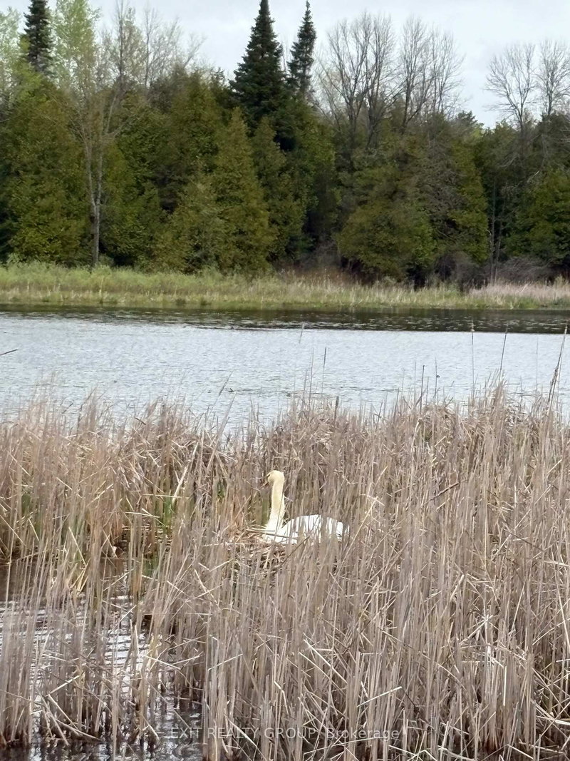 Lot 2 Hennessy St, Prince Edward County, K8N 4Z7 | Image 3