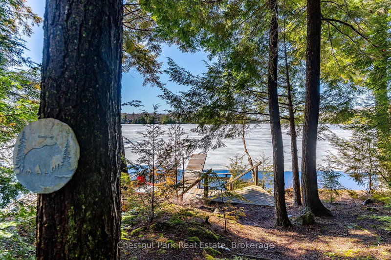 1173 Watts Rd, Dysart et al, K0M 1S0 | Image 3