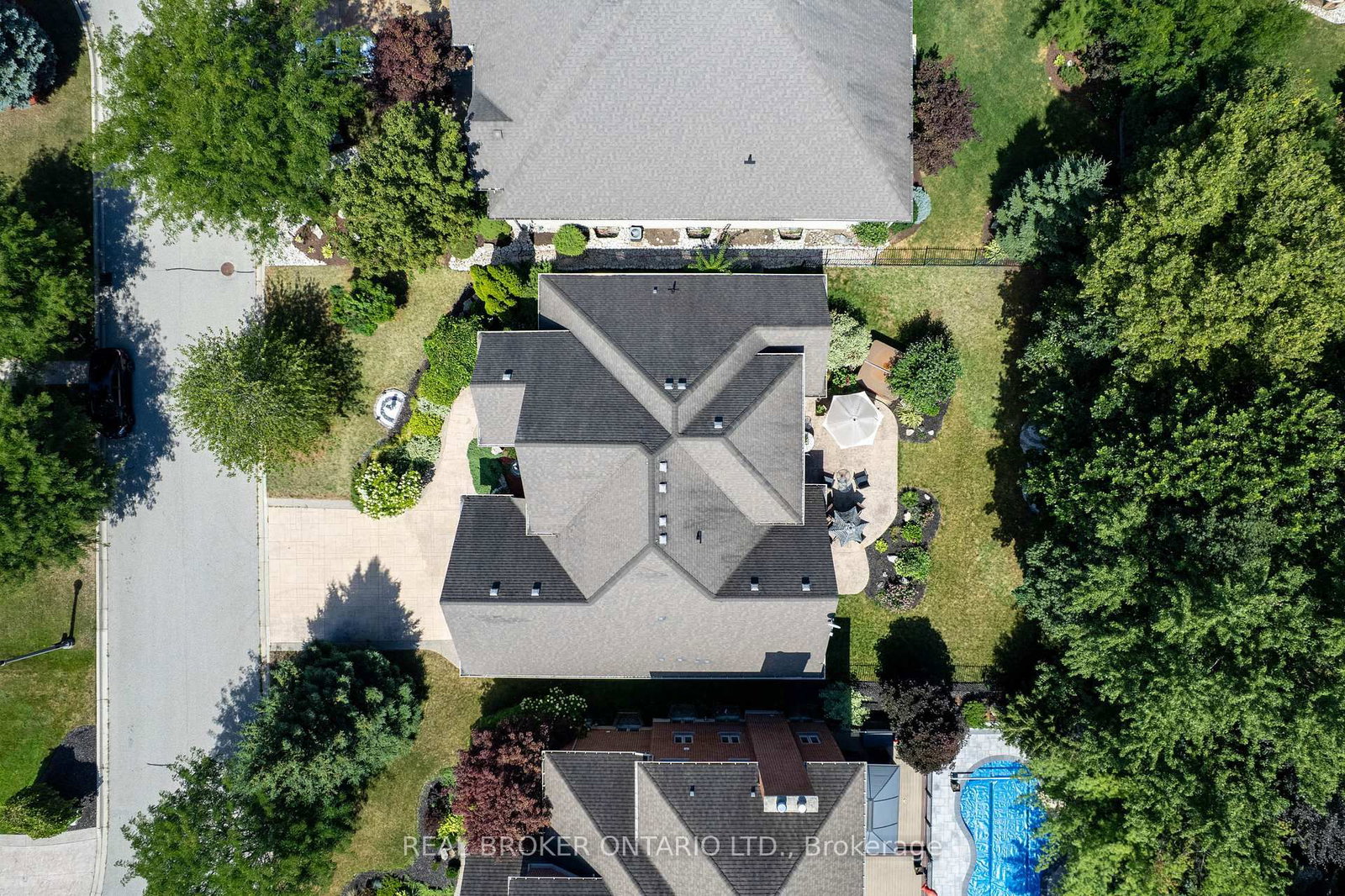 215 Black Maple Court - Photo 49