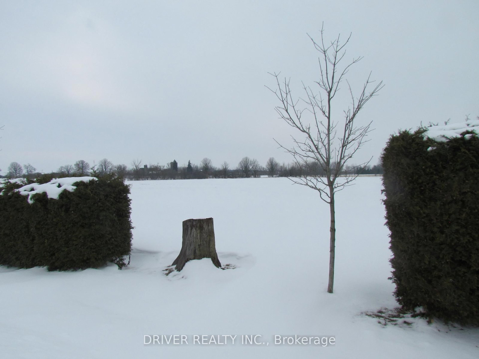 Listing Image 30