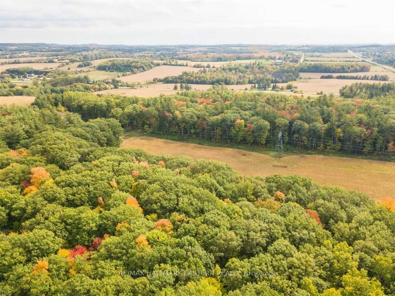 00 Oak Ridges Dr, Hamilton Township, K0L 1E0 | Image 3