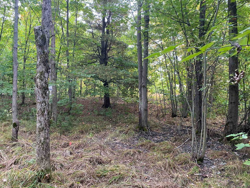 home for sale on 19 Turtle Lane