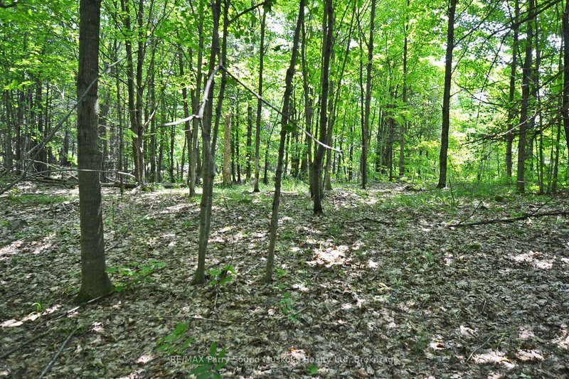 19 Turtle Lane, McKellar, P0G 1C0 | Image 2