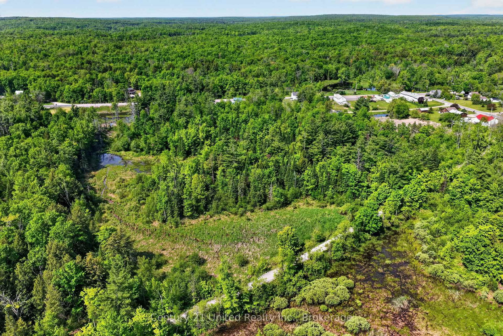 17224 Highway 62 • Madoc, ON photo 18