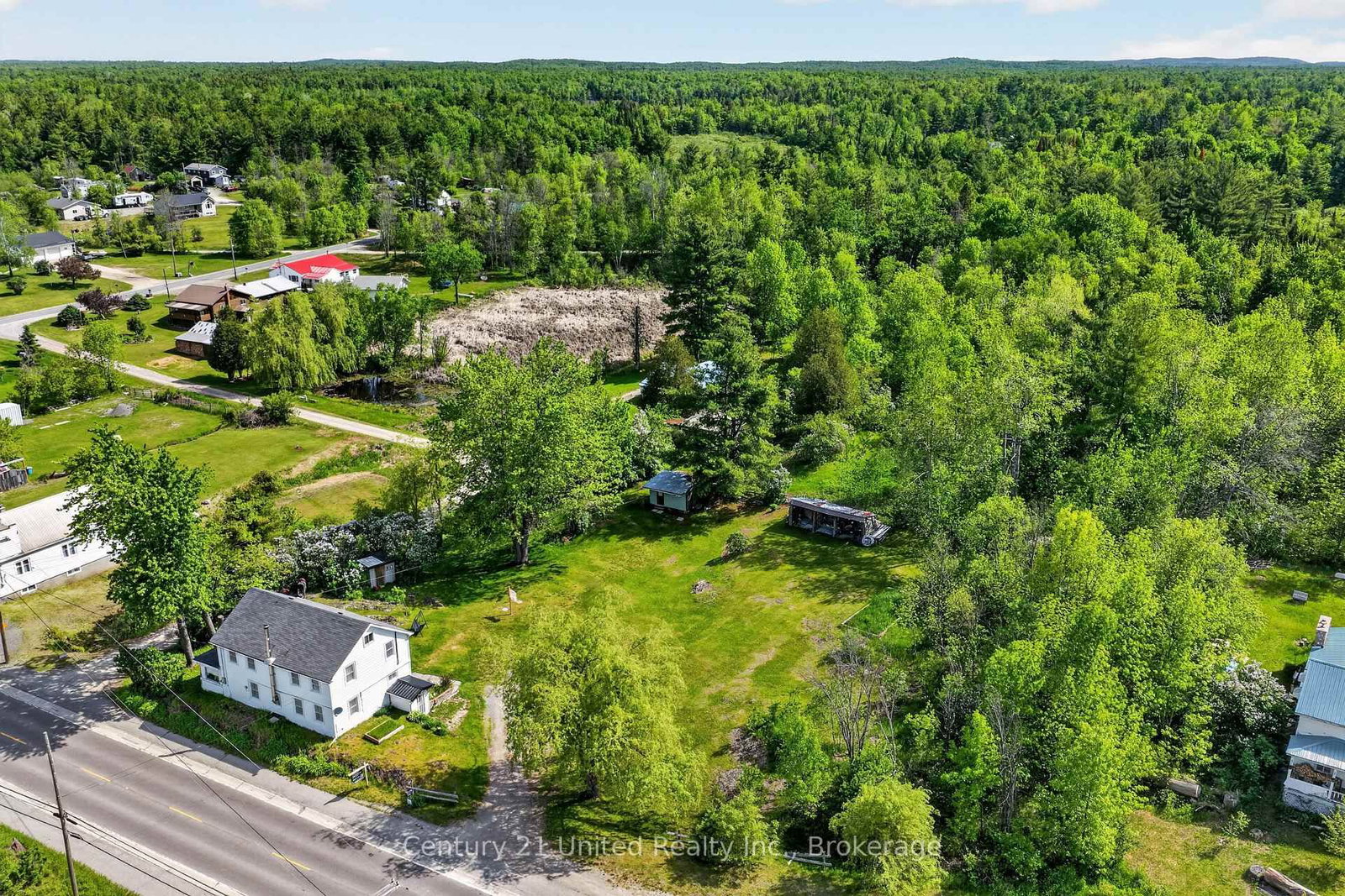 17224 Highway 62 • Madoc, ON photo 9