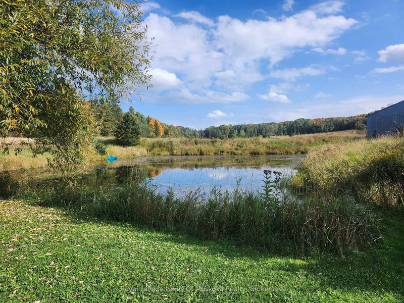 1524 Hekkla Rd, Muskoka Lakes, P0C 1J0 | Image 3