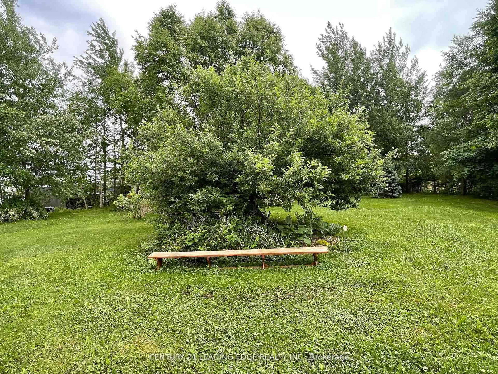 26 Main Road • Out of Area, NF photo 28