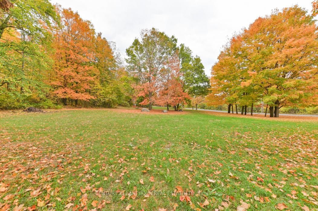 Detached House for sale at 93 Tannery Road, Madoc, Ontario, K0K 2K0 - Madoc - MLS: X12786930