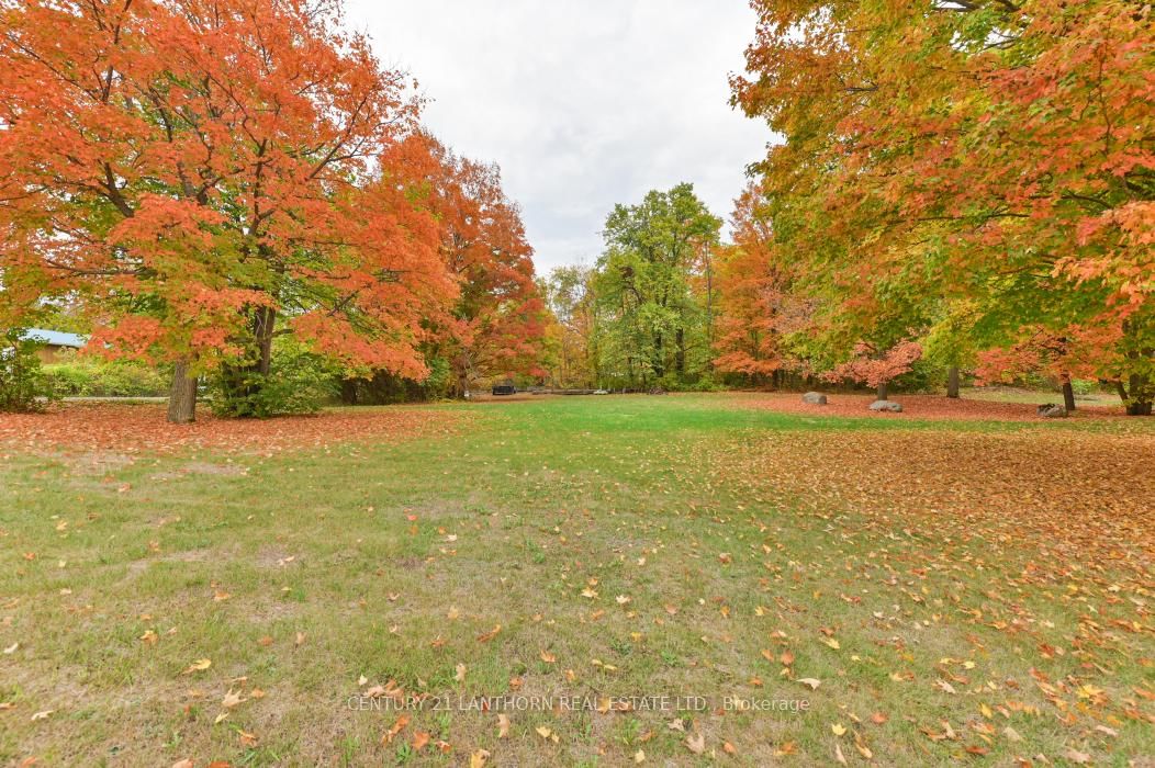 Detached House for sale at 93 Tannery Road, Madoc, Ontario, K0K 2K0 - Madoc - MLS: X12786930