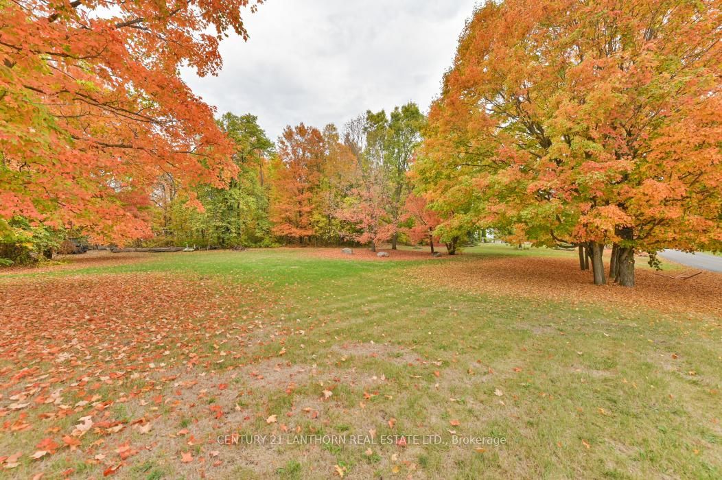 Detached House for sale at 93 Tannery Road, Madoc, Ontario, K0K 2K0 - Madoc - MLS: X12786930