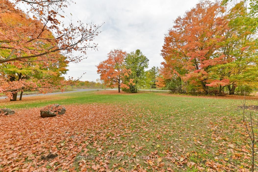 Detached House for sale at 93 Tannery Road, Madoc, Ontario, K0K 2K0 - Madoc - MLS: X12786930