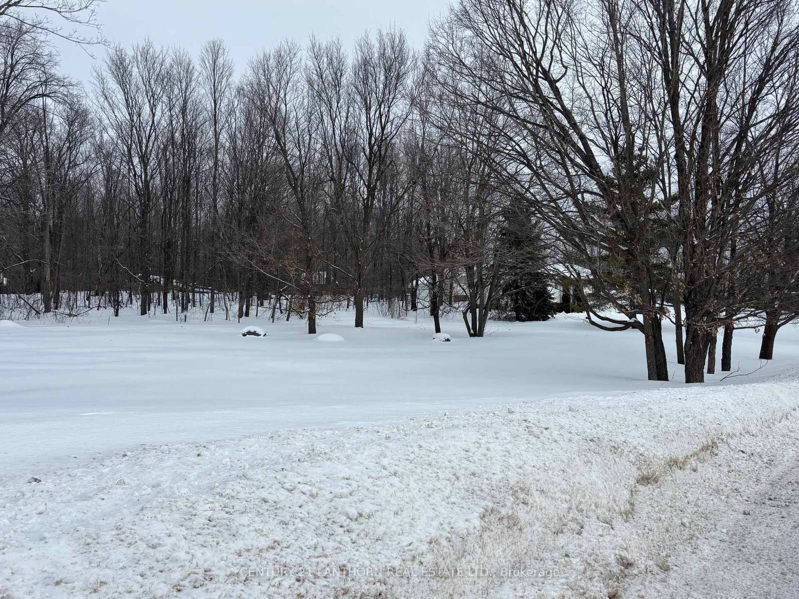 Detached House for sale at 93 Tannery Road, Madoc, Ontario, K0K 2K0 - Madoc - MLS: X12786930