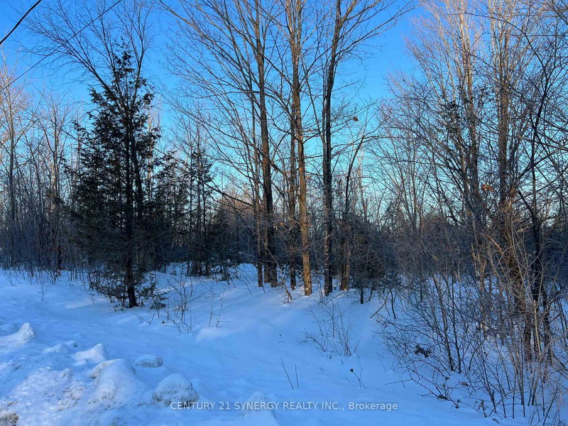 home for sale on 00 MCLACHLIN Road