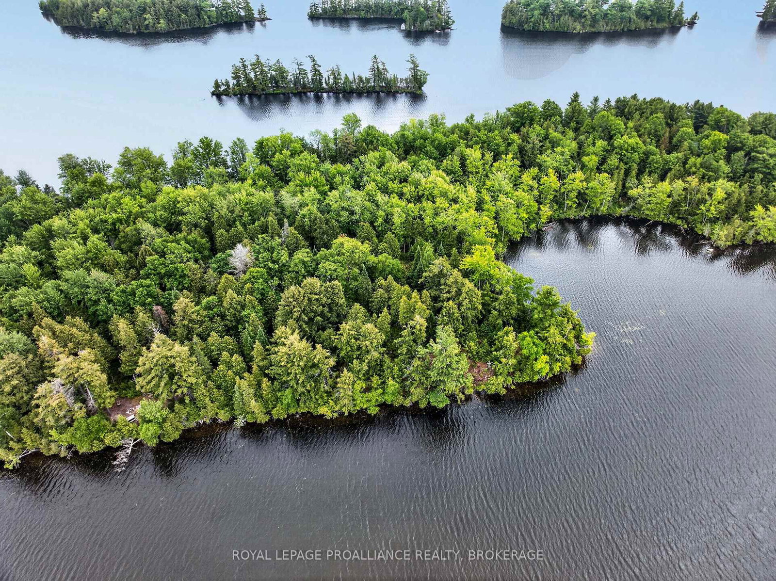 PT Island B Gracey's Island • Sharbot Lake, ON photo 11