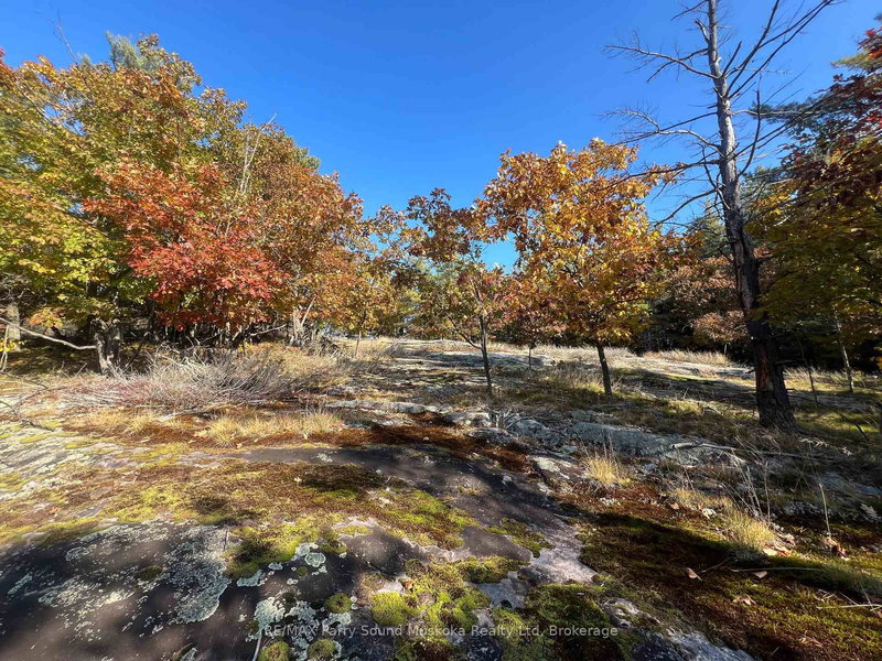 13 Ridgeway Dr, Carling, P0G 1G0 | Image 2