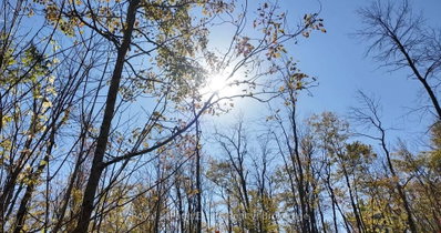 PT LT 36 & PT L 13 Concession • Arran-Elderslie, ON photo 3