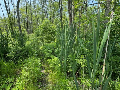 PT LT 36 & PT L 13 Concession • Arran-Elderslie, ON photo 8