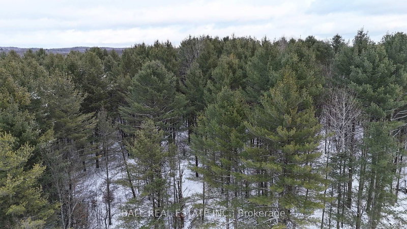 0 Highway 62 S, Bancroft, K0L 1C0 | Image 3