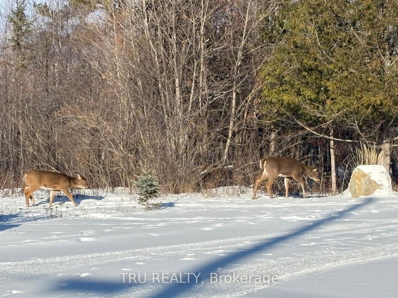 3024 Stoneridge Rd, Ottawa, K0A 1T0 | Image 3