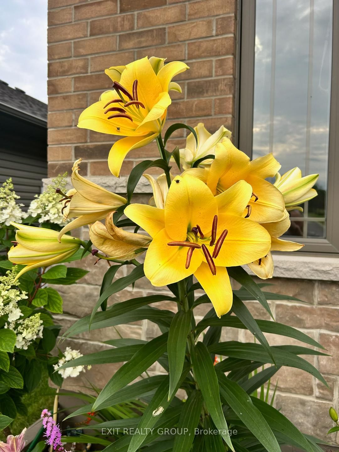 Detached House for sale at 16 Matheos Crescent, Quinte West, Ontario, K8V 0L2 - Murray Ward - MLS: X12798852