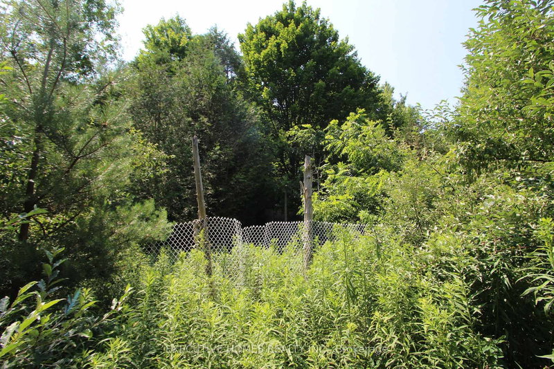 00000 WEBSTER Rd, Port Hope, L1A 3Z9 | Image 3