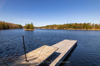 23212 Georgian Bay Shore • Georgian Bay, ON photo 2
