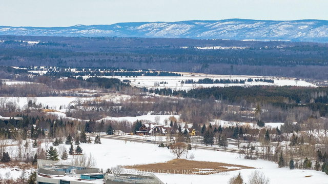 31 Marsh Sparrow Private