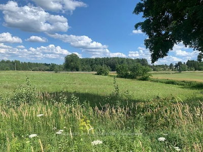 25 STEWART Dr | Erin | Image