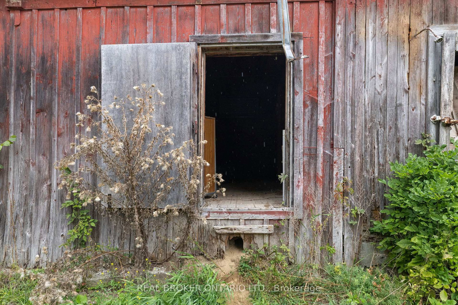 Listing Image 33