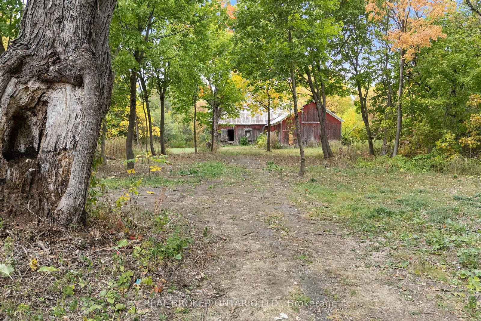 Listing Image 8